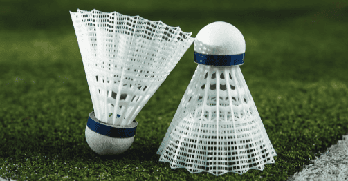Badminton Court
